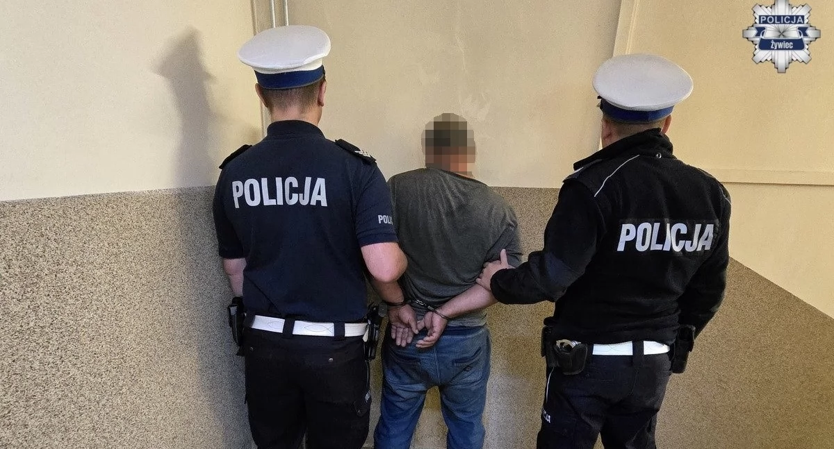 Znieważył policjantów podczas kontroli drogowej – grozi mu rok więzienia