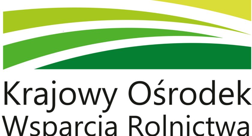 Wystartowała XX edycja Stypendiów Pomostowych