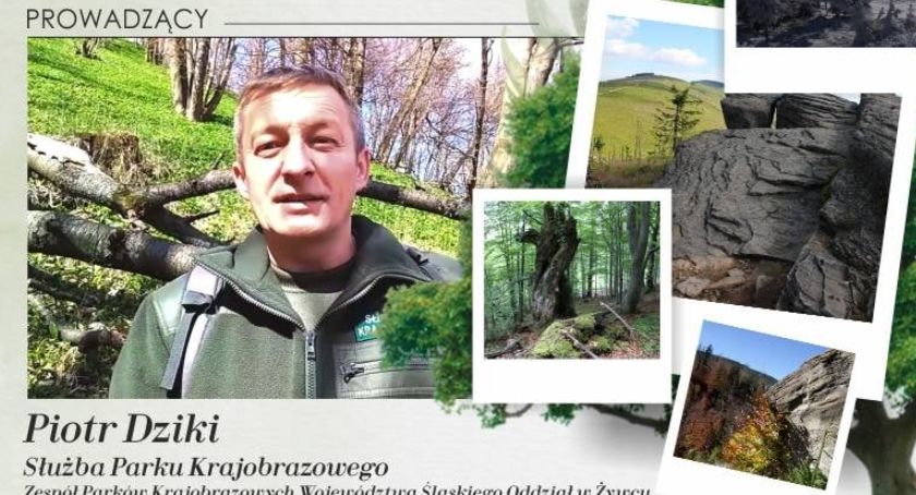 Nareszcie! spotkanie, nie online, a stacjonarnie w bibliotece