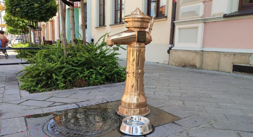 Żywiec  pamięta o czworonogach 