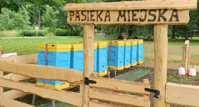  Pasieka Miejska w żywieckim Parku