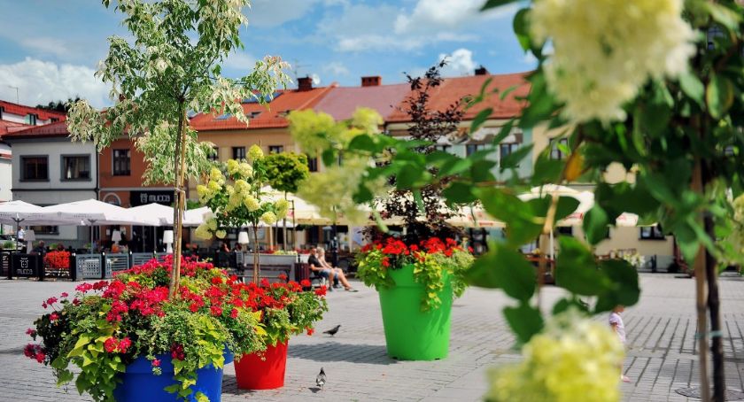 Głosujemy na Miasto Żywiec