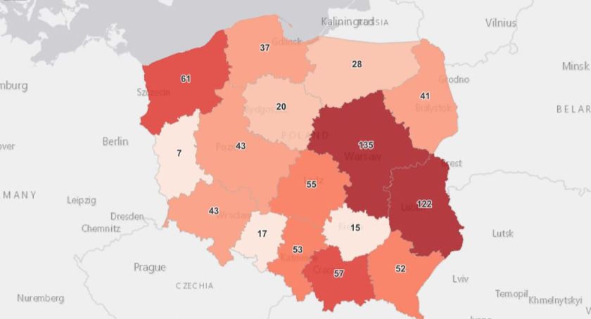 Wczoraj wyhamowanie, dziś znowu ostro w górę 