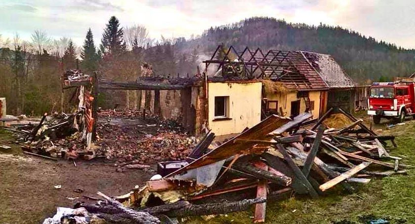 Stracili dorobek życia! Każdy może im pomóc! 