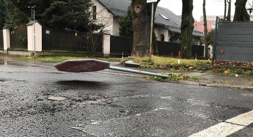 Gorączka andrzejkowej nocy 