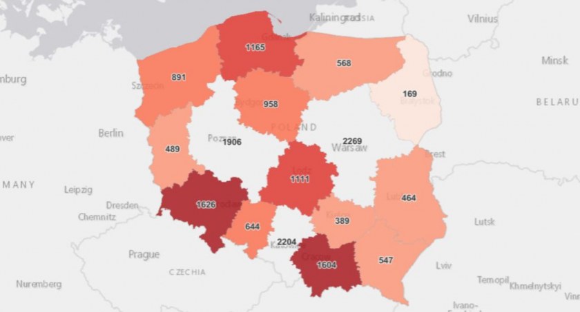 Ponownie ogromna ilość zgonów 