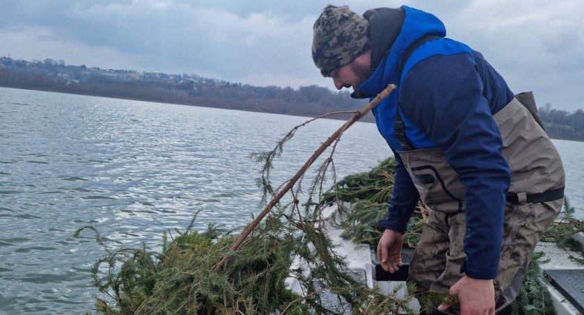 Rybom nieba są gotowi nachylić 