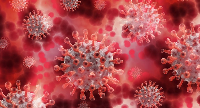 Wtorkowy raport epidemiczny 