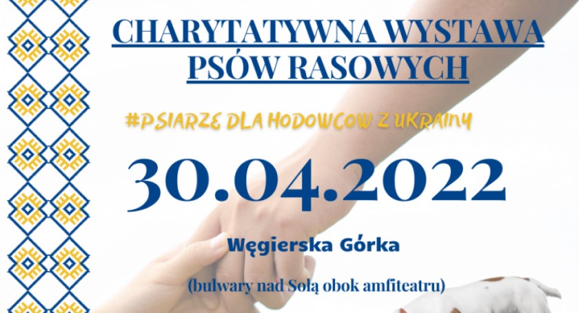 Charytatywna wystawa psów rasowych w Węgierskiej Górce