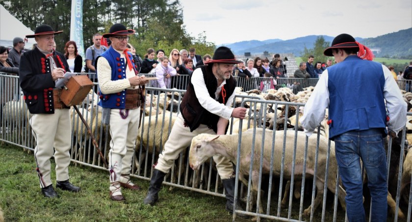 Tak, to już jesień. Łossod za nami!