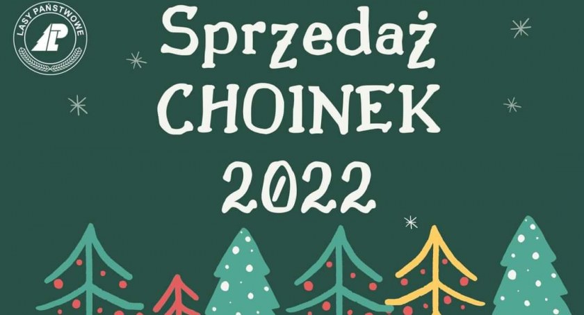Sprzedaż choinek przy Nadleśnictwie w Jeleśni.