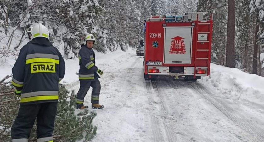 OSP Łękawica wyjazd do powalonych drzew.