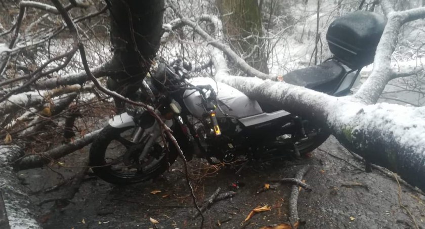 Drzewo przygniotło motocykl