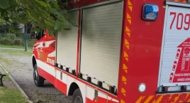 Żmija zygzakowata na placu zabaw w Ujsołach