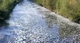 Piana na Sole – strażnicy z Koła PZW Zabłocie interweniowali
