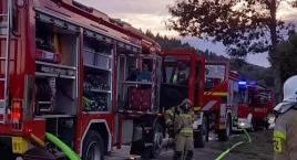 Pożar budynku mieszkalnego w Pewli Małej – szybka ak…