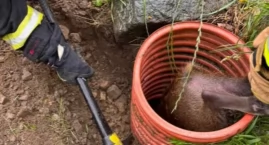 Poranna akcja ratunkowa strażaków w Międzybrodziu Bi&hellip;