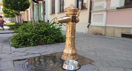 Żywiec  pamięta o czworonogach 