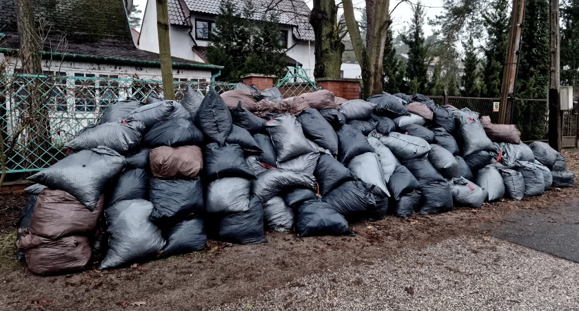 OGŁOSZENIE UGI W SPRAWIE ODBIORU SUCHYCH CHOINEK
