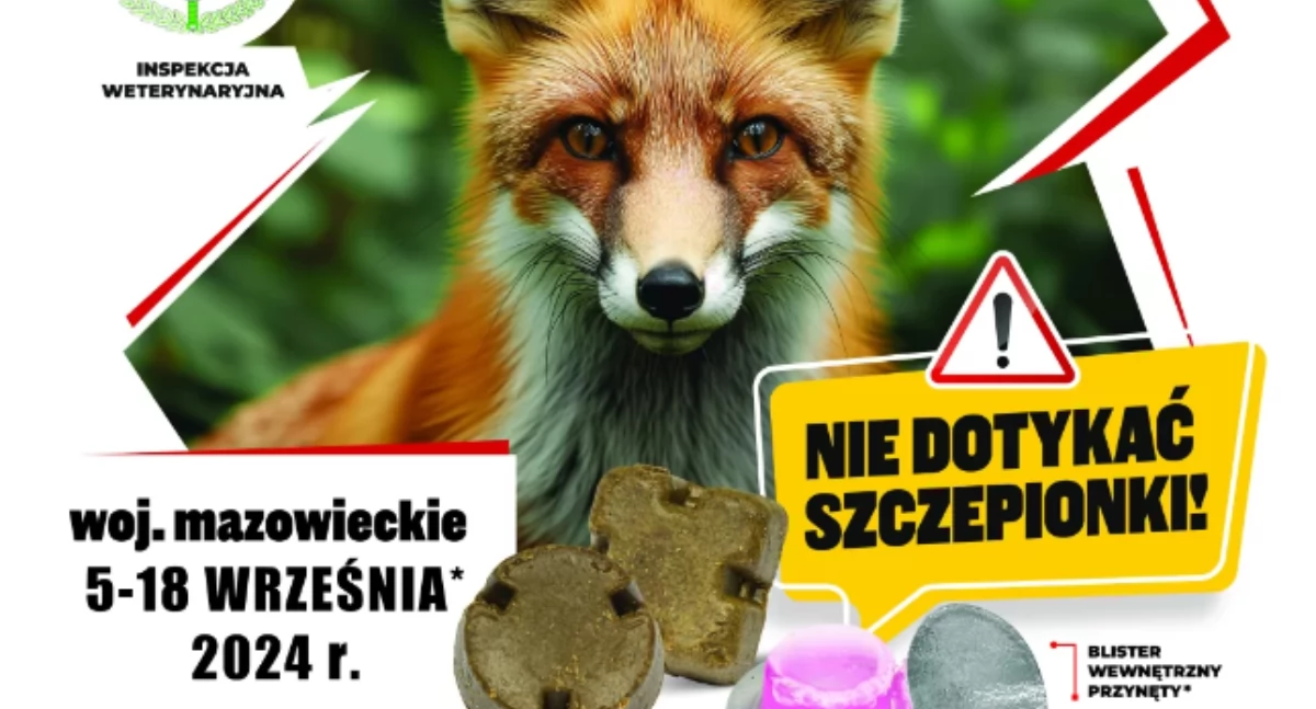AKCJA SZCZEPIENIA LISÓW WOLNO ŻYJĄCYCH PRZECIWKO WŚCIEKLIŹNIE