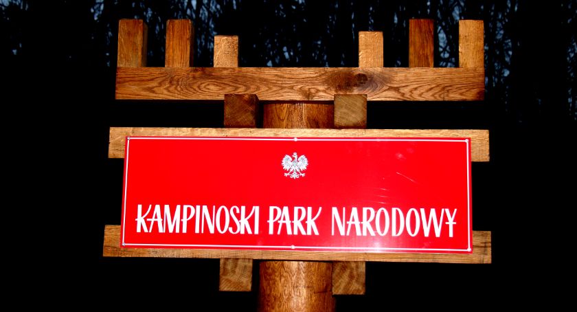 NOWE WITACZE W KAMPINOSKIM PARKU