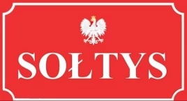 WYNIKI WYBORÓW NA SOŁTYSA