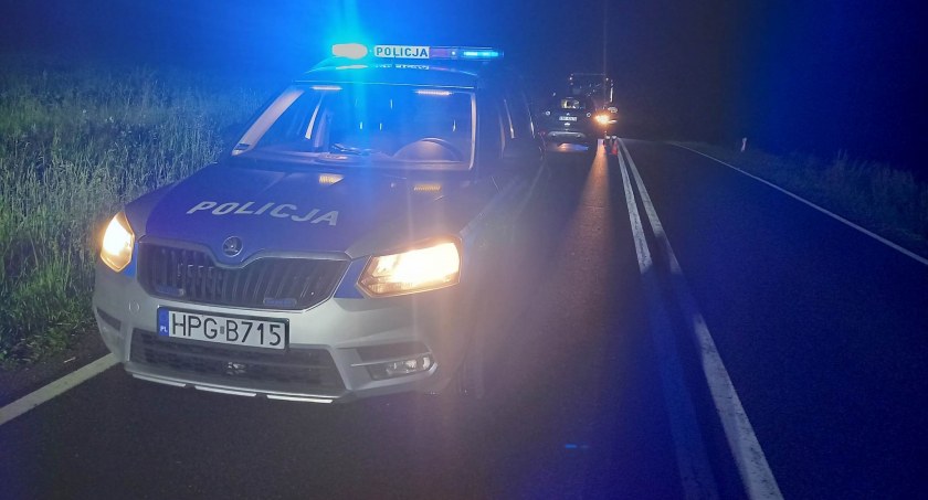 Sarna wpadła pod samochód 
