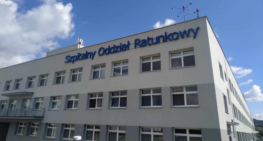 Co robić, gdy ukąsi żmija lub kleszcz?