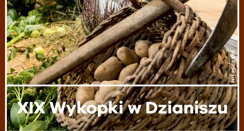 XIX Wykopki w Dzianiszu