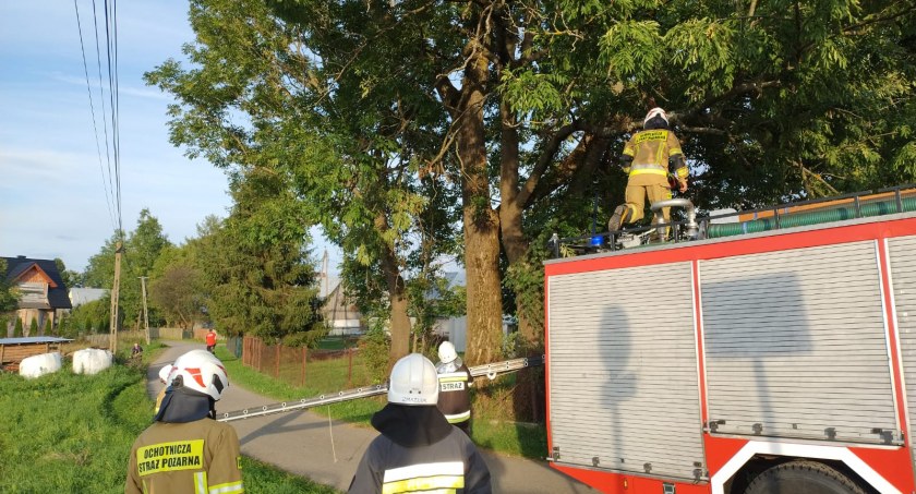 Akcja strażacka w Podczerwonem - dla bezpieczeństwa mieszkańców