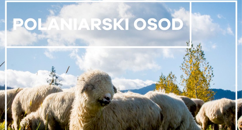 Polaniarski Osod