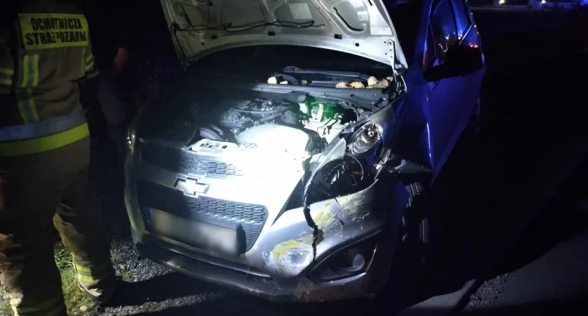 Samochód wjechał w stado owiec - interweniowali strażacy i policjanci