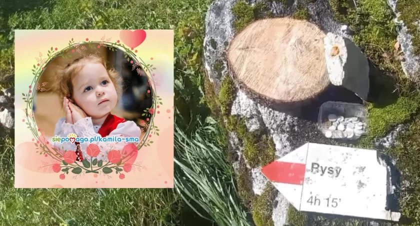 Tatrzański Park Nardowy wspiera Kamilkę Gil - prawdziwe skarby na licytacji - brakuje jeszcze 1,3 mln zł