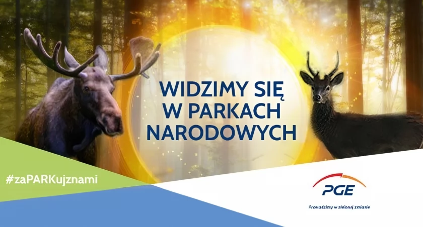 Zobacz jesienną odsłonę Parków Narodowych współpracujących z PGE 