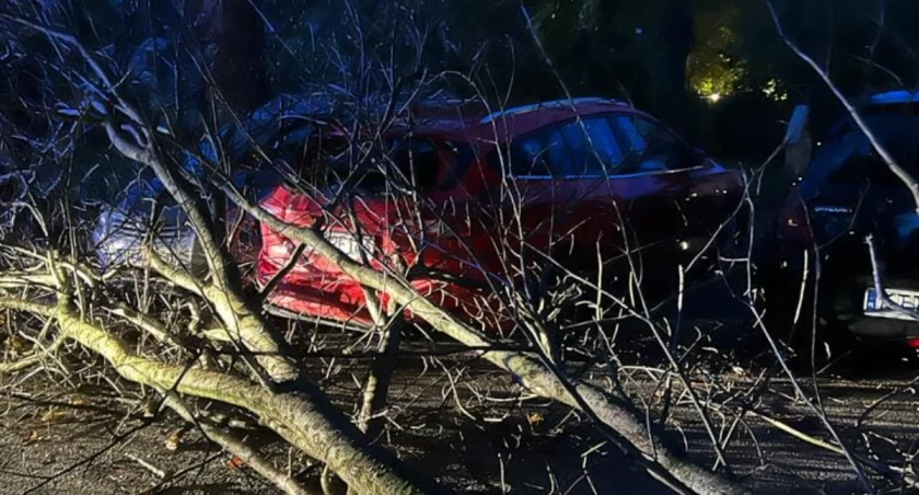 Porywisty wiatr znowu dał znać o sobie