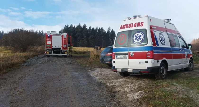 Pod lasem znaleziono martwą kobietę 