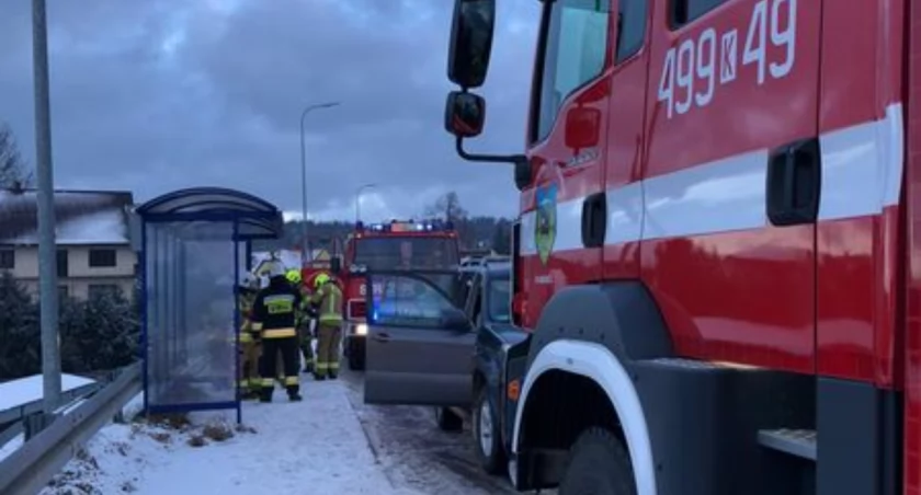 Nietypowa interwencja strażaków