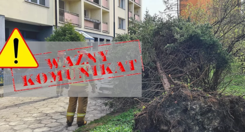 UWAGA BARDZO SILNY WIATR !! APELUJEMY O POZOSTANIE W DOMU !!