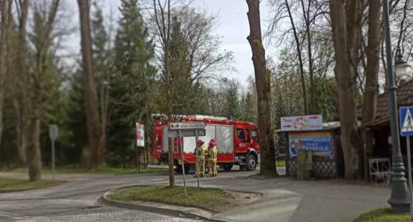 Tragedia w Rabce - nie żyją trzy osoby przygniecione przez drzewo