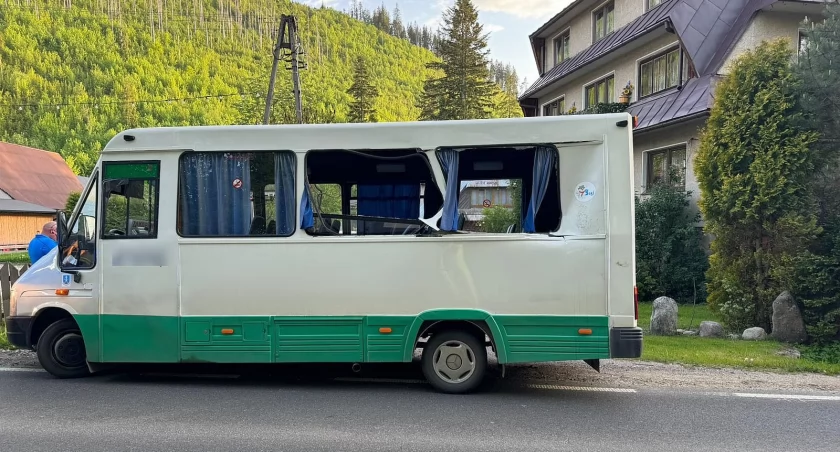 Kolizja busa z łanią