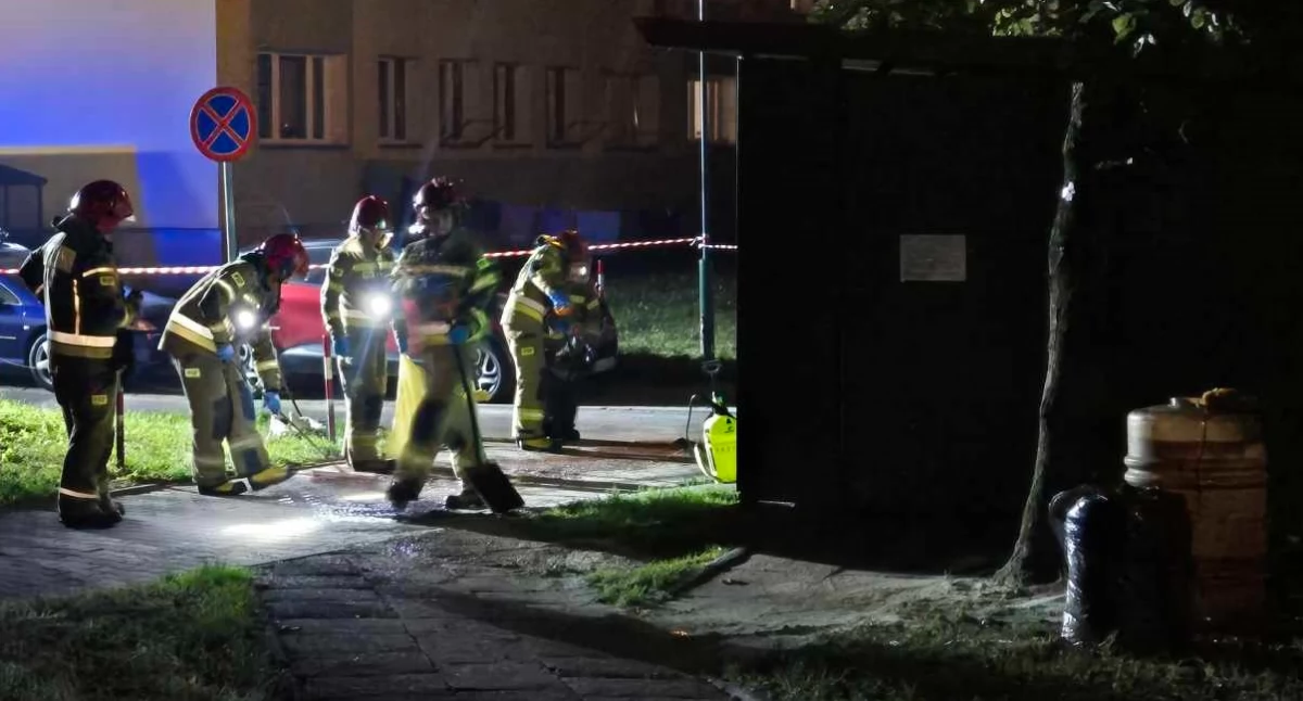 Beczki z nieznaną substancją przy śmietniku - interweniowali strażacy