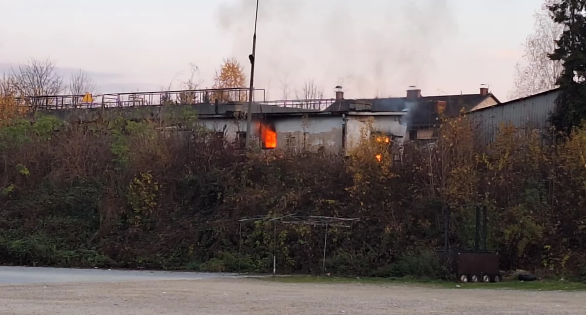 Pożar na terenie starej oczyszczalni 