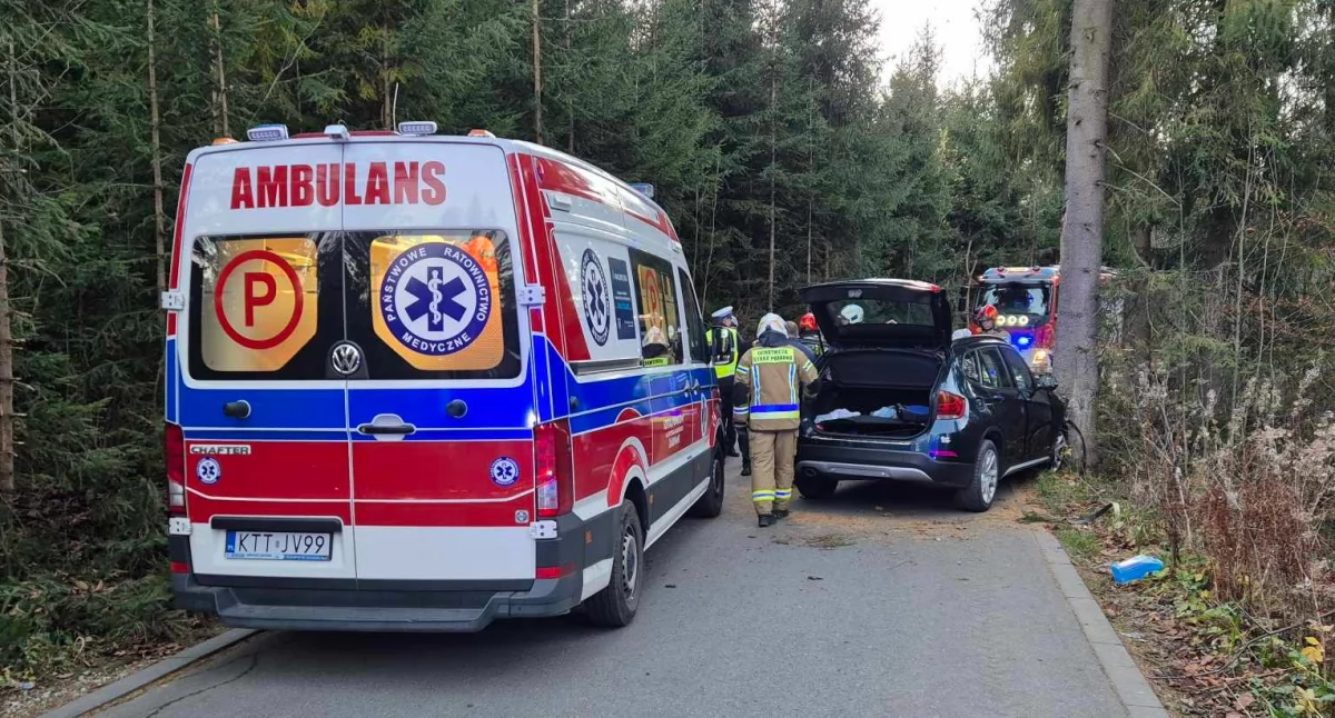 Samochód wypadł z drogi i uderzył w drzewo - dwie osoby w tym dziecko poszkodowane