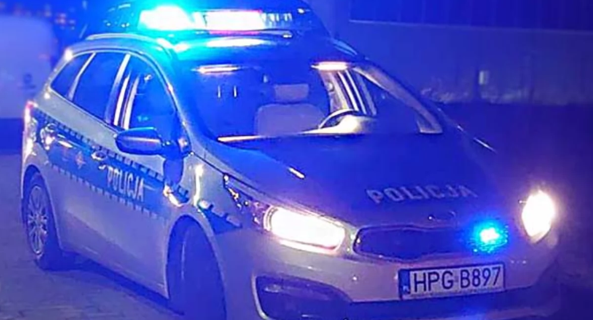 Tragiczna kolizja na granicy Zębu i Nowego Bystrego – koń musiał zostać uśpiony