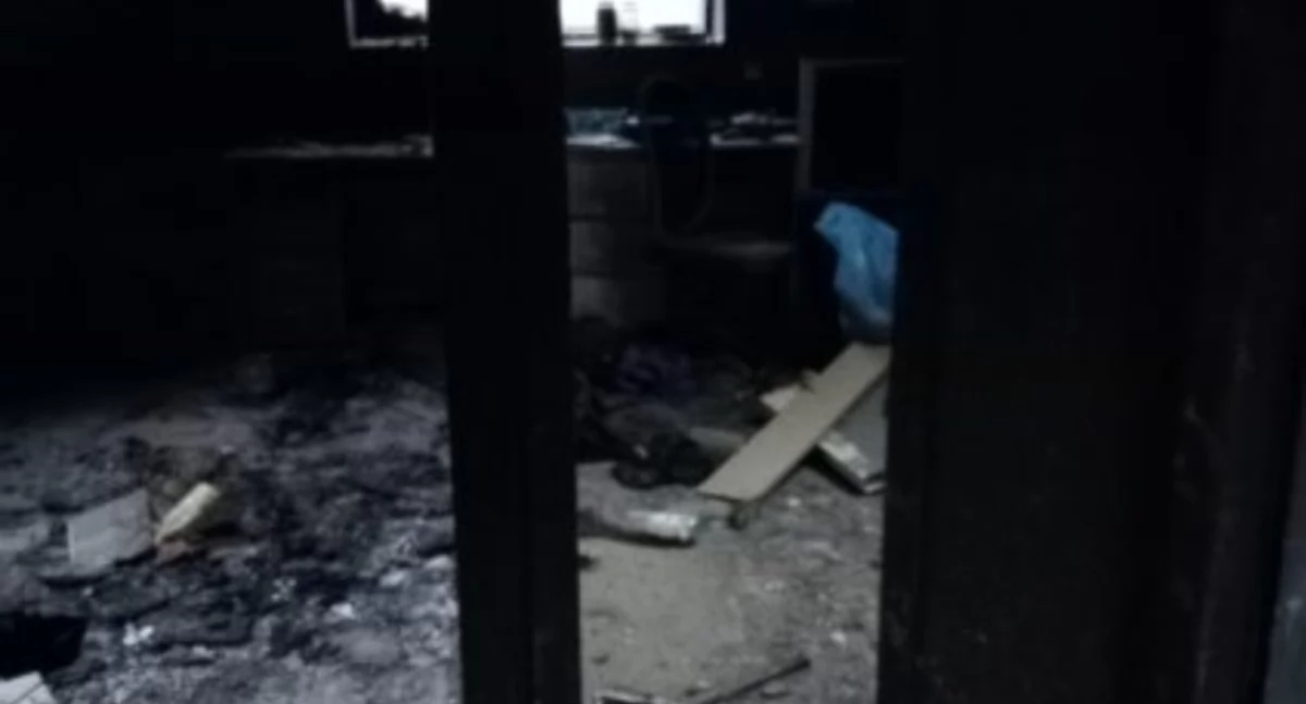 Pomoc dla Gosi i jej dzieci po pożarze domu w Skomielnej Białej