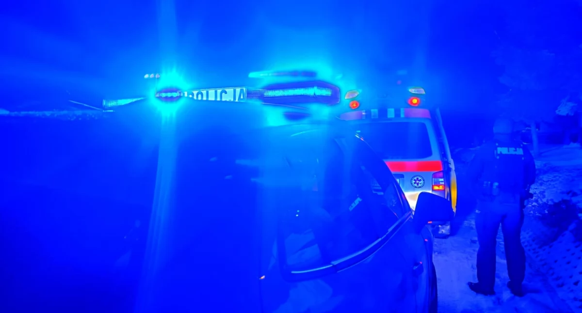 Szczęśliwy finał poszukiwań w Rogoźniku