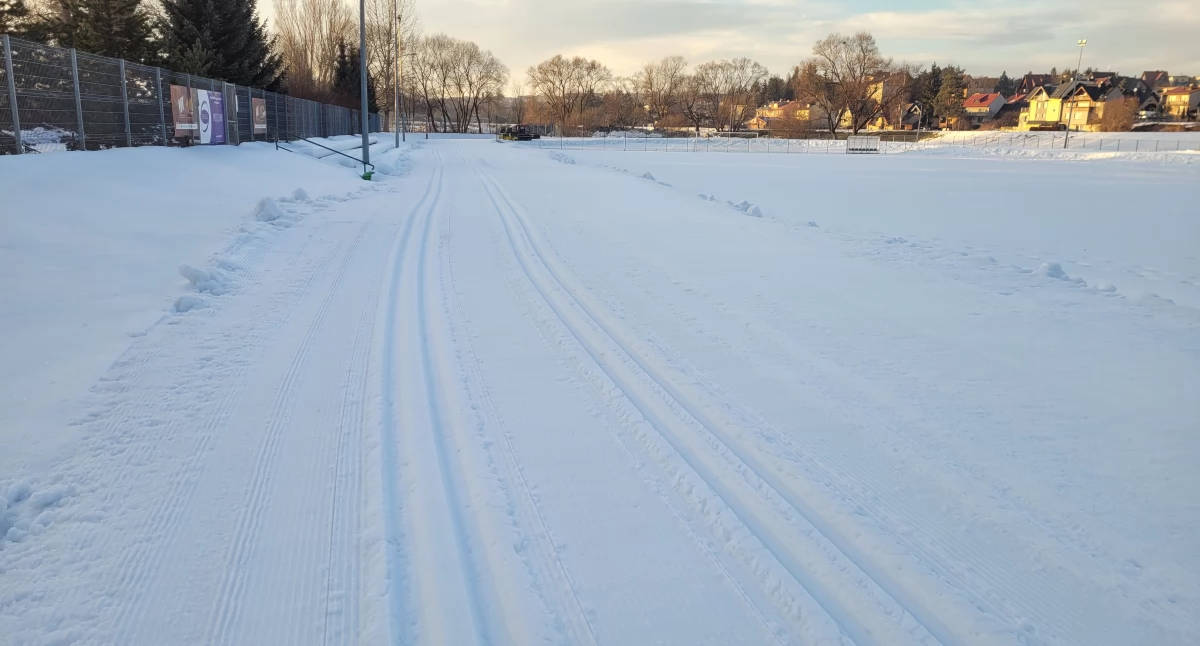 Sztucznie naśnieżana narciarska trasa biegowa w Nowym Targu