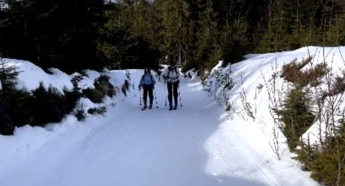 Kadeci na skiturowej przygodzie – wyprawa na Turbacz