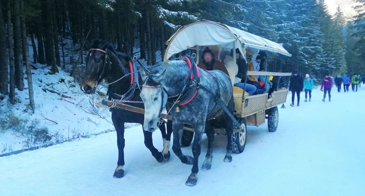 Związek Podhalan broni tradycyjnego transportu konnego do Morskiego Oka