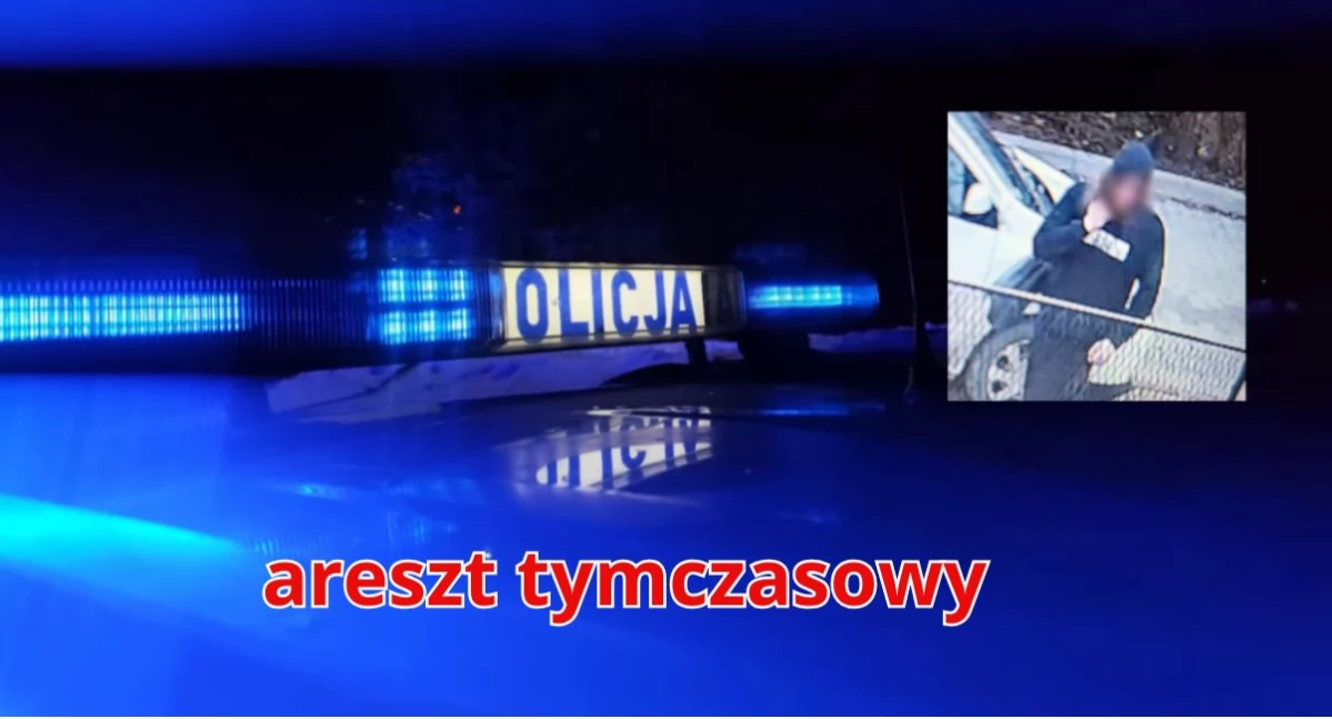 Tymczasowy areszt dla 20-latka podejrzanego o atak na 13-latkę w Rabce-Zdroju